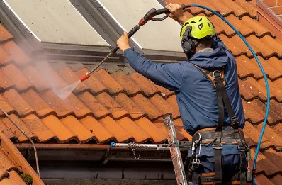 Démoussage et hydrofuge de toiture à Lagnieu